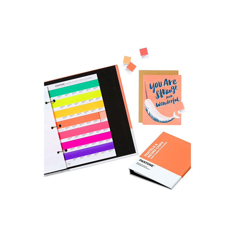 Pantone pastel & neons chips color samples