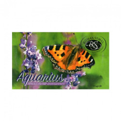 Szmal aquarius a set of 12 watercolors in a cube Krzysztof Kowalski
