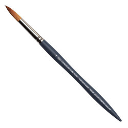 Winsor&Newton professional watercolour synthetic sable round