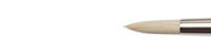 Winsor&Newton artists oil synthetic hog round