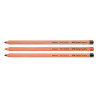 Faber-Castell pitt pastels dry in a crayon