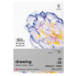 Block Winsor & Newton drawing smooth grain 220g 25ark