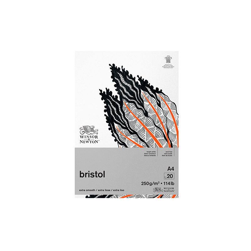 Block Winsor & Newton bristol 250g 20 sheets