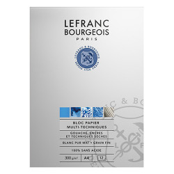 Block Lefranc&Bourgeois studio multi-techniques 300g A4 12ark