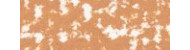 Talens rembrandt pastele suche