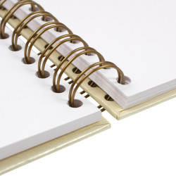 Clairefontaine iridescent ivory album na spirali 200g 40ark - sklep pl
