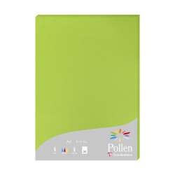 Clairefontaine pollen A4 paper 210g 25 sheets