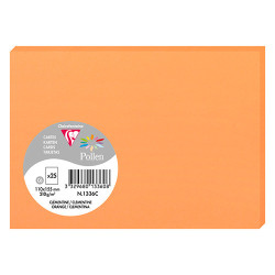 Clairefontaine pollen papier 110x155 210g 25 arkuszy - sklep plastyczn