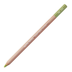 Caran d'Ache pastel pencil kredki pastelowe - sklep plastyczny - szał
