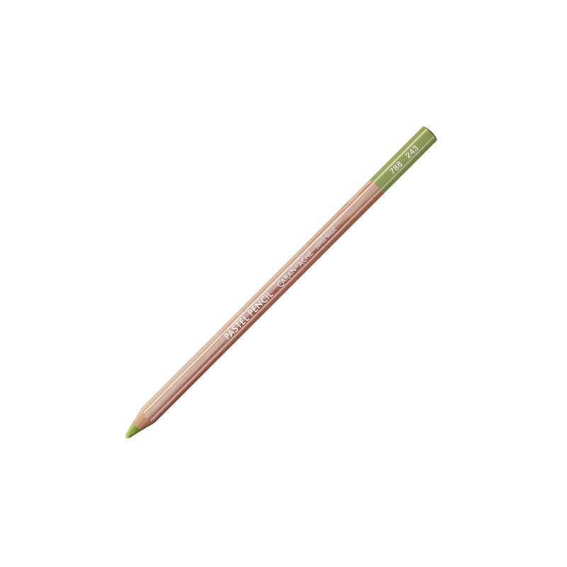 Caran d'Ache pastel pencil crayons pastel