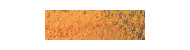 Caran d'Ache pastel pencil kredki pastelowe