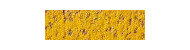 Caran d'Ache pastel pencil kredki pastelowe