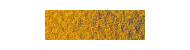 Caran d'Ache pastel pencil kredki pastelowe