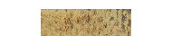 Caran d'Ache pastel pencil kredki pastelowe