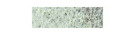 Caran d'Ache pastel pencil kredki pastelowe