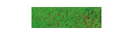 Caran d'Ache pastel pencil kredki pastelowe
