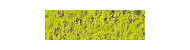 Caran d'Ache pastel pencil kredki pastelowe