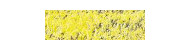 Caran d'Ache pastel pencil kredki pastelowe