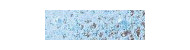Caran d'Ache pastel pencil kredki pastelowe