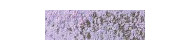 Caran d'Ache pastel pencil crayons pastel