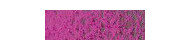 Caran d'Ache pastel pencil kredki pastelowe