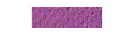 Caran d'Ache pastel pencil kredki pastelowe