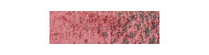 Caran d'Ache pastel pencil crayons pastel