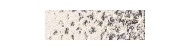 Caran d'Ache pastel pencil kredki pastelowe