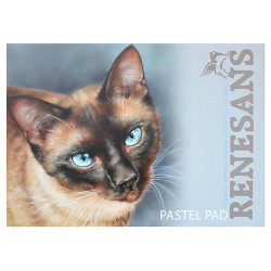 Blok Renesans pastel pad 10 zamszowych arkuszy w 5 kolorach - sklep pl