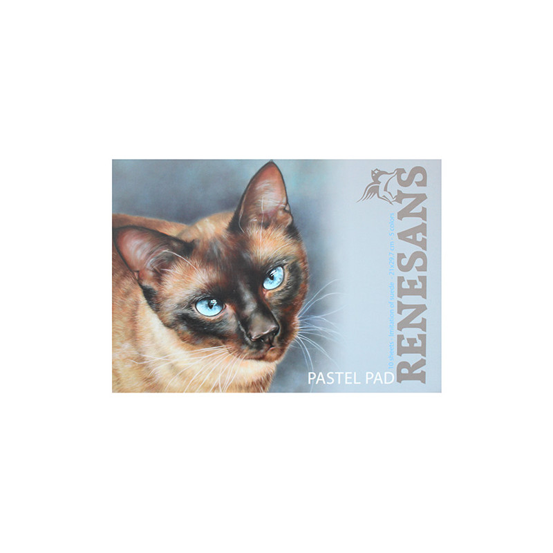 Block Renaissance pastel pad 10 suede sheets in 5 colors