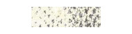 Caran d'Ache pastel pencil kredki pastelowe