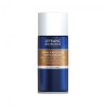 Lefranc & Bourgeois retouching varnish for oil and acrylic paints