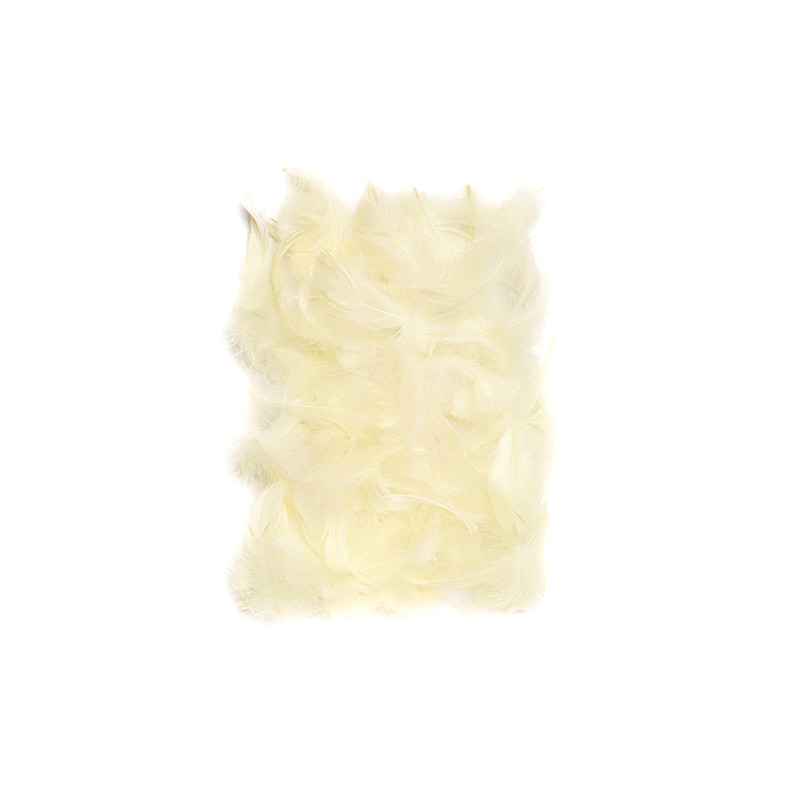Ecru feathers 5-12cm 10g
