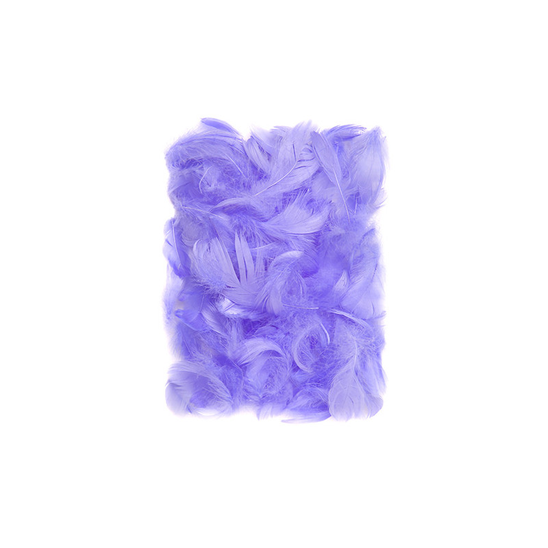 Lilac feathers 5-12cm 10g