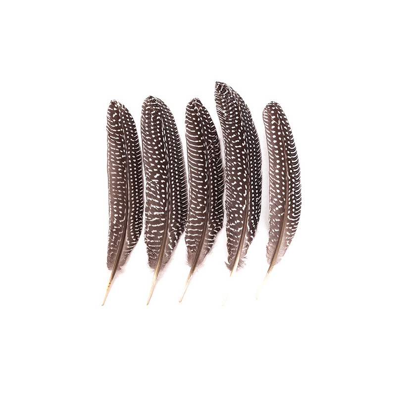 Pheasant feathers 18-20cm 5 pieces