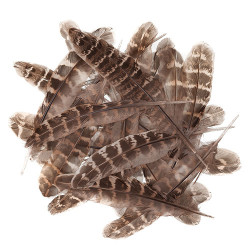 Duck feathers 15-20cm 5g