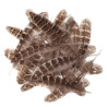 Duck feathers 15-20cm 5g