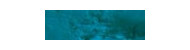 Caran d'Ache neopastel oil pastels