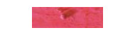 Caran d'Ache neopastel oil pastels