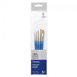 Winsor & Newton cotma set of 5 brushes 4 round + 1 flat