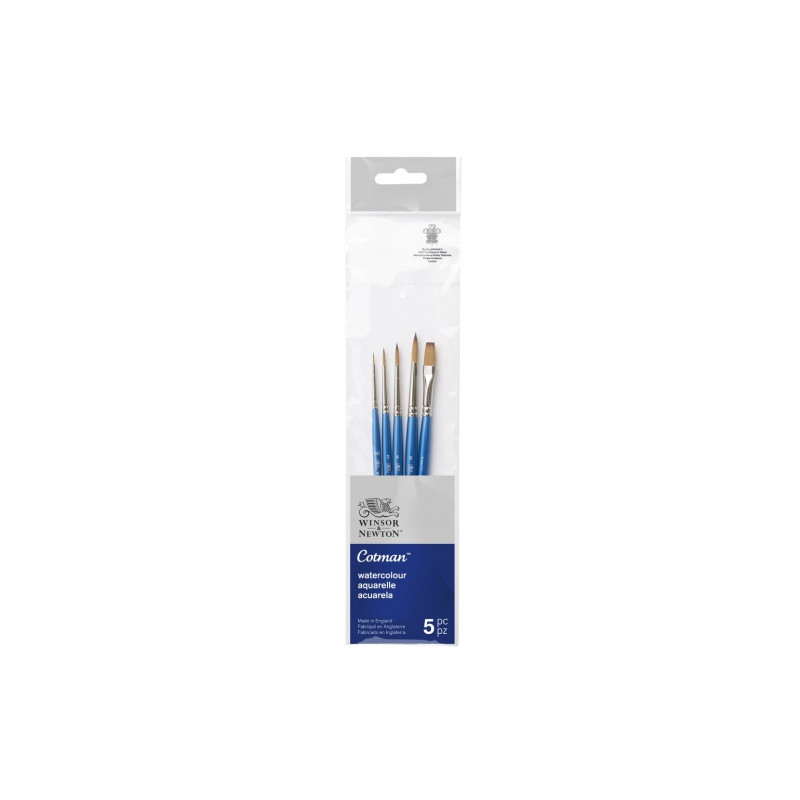 Winsor & Newton cotma set of 5 brushes 4 round + 1 flat