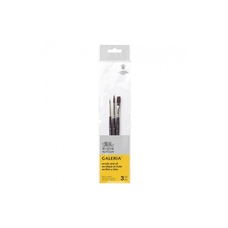 Winsor & Newton gallery set of 3 long handle brushes 2 round + 1 flat