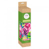 Diamond embroidery kit for diamond painting - twin flamingos