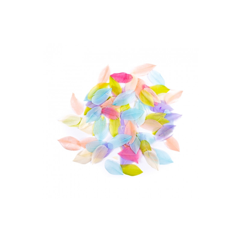 Pastel goose feathers 6cm 5g