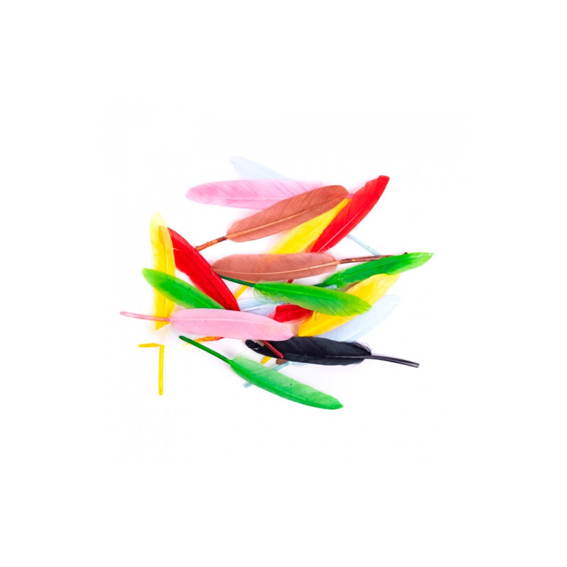 Colorful goose feathers 13cm 20 pieces