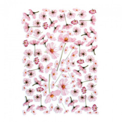 Papier do decoupage A4 ITD 0158M kwiaty kosmos - sklep plastyczny - sz