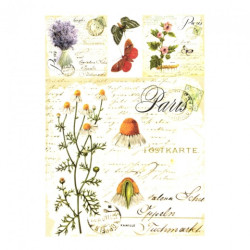 Decoupage paper soft A4 ITD S001 paris chamomile