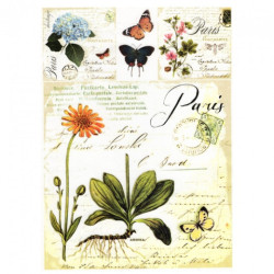 Decoupage paper soft A4 ITD S006 herbs flowers butterflies