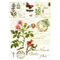 Papier do decoupage soft A4 ITD S007 dzika róża zioła - sklep plastycz
