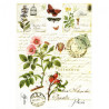 Papier do decoupage soft A4 ITD S007 dzika róża zioła - sklep plastycz